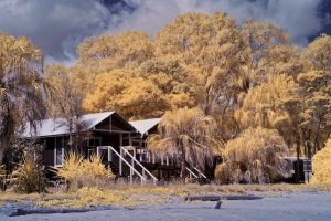 Agnes Water Infrared Landscapes