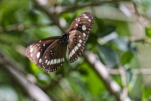 20251209_IC__0006_DxO-scaled