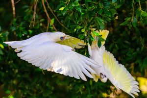 20250725_IC__0193-scaled