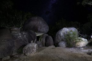 20250430_IC__0072-scaled