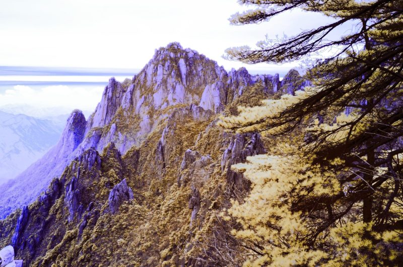 Mauve Mountain with golden foliage, Huangshan China - Infra-red Image