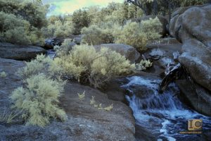 Infra-red Landscapes of Girraween National Park