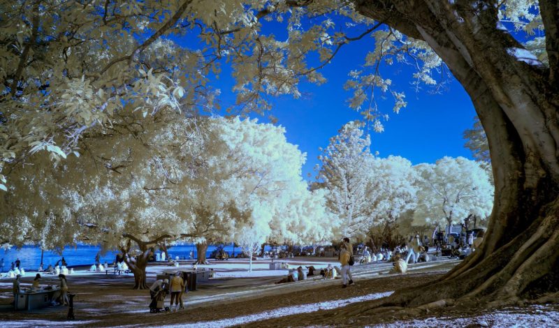 20160529_brisbane_in_infrared_0016-scaled