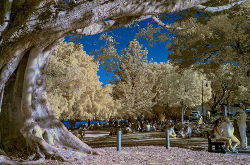 20160529_brisbane_in_infrared_0019-scaled