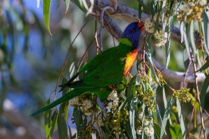 20250725_IC__0044-scaled