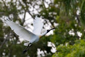 20231222_pl__0057-Enhanced-NR-scaled