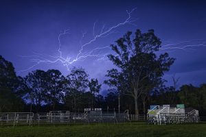 20251129_IC__0010_DxO-scaled